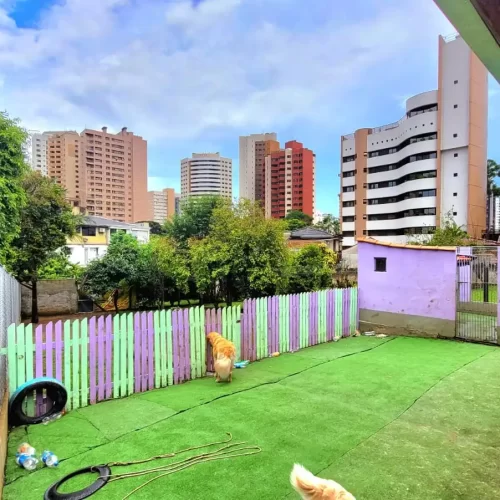 WhatsApp-Image-2023-01-04-at-15.45.46