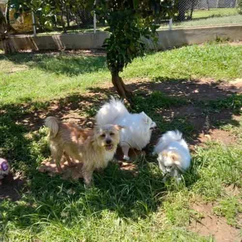 WhatsApp-Image-2023-01-04-at-15.55.25